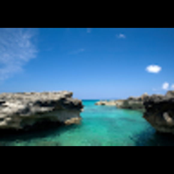 Meet your Posher, Julie - Picture 1 of 1